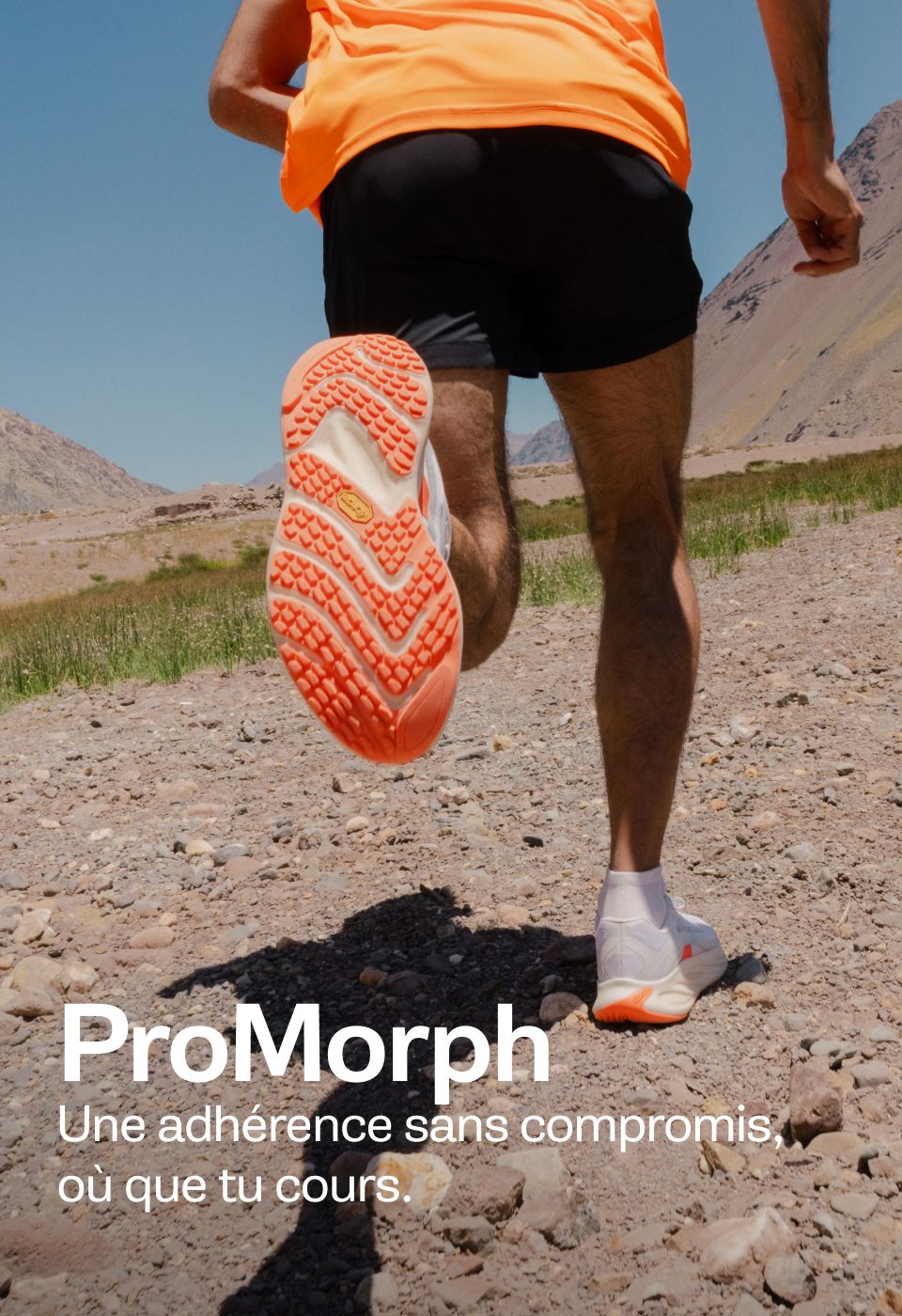 Morphlite.